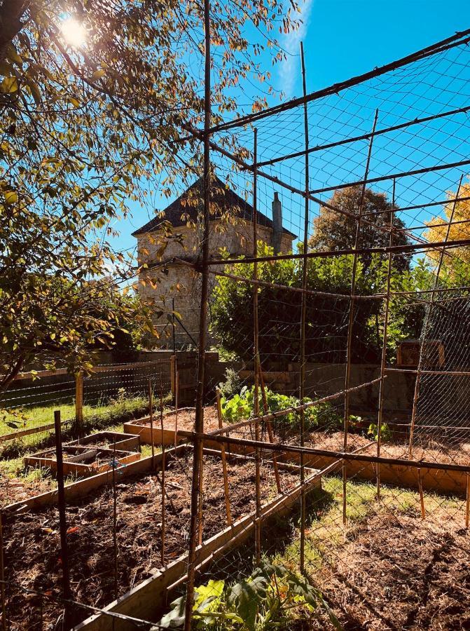 Pool House-L'Hirondelle De Sermizelles- Grand Jardin, Calme Et Nature Aux Portes Du Morvan ภายนอก รูปภาพ