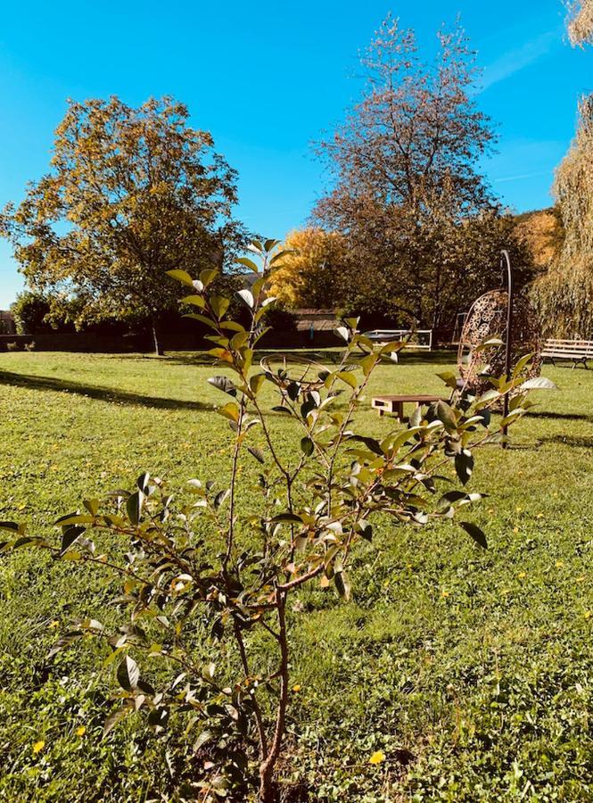 Pool House-L'Hirondelle De Sermizelles- Grand Jardin, Calme Et Nature Aux Portes Du Morvan ภายนอก รูปภาพ