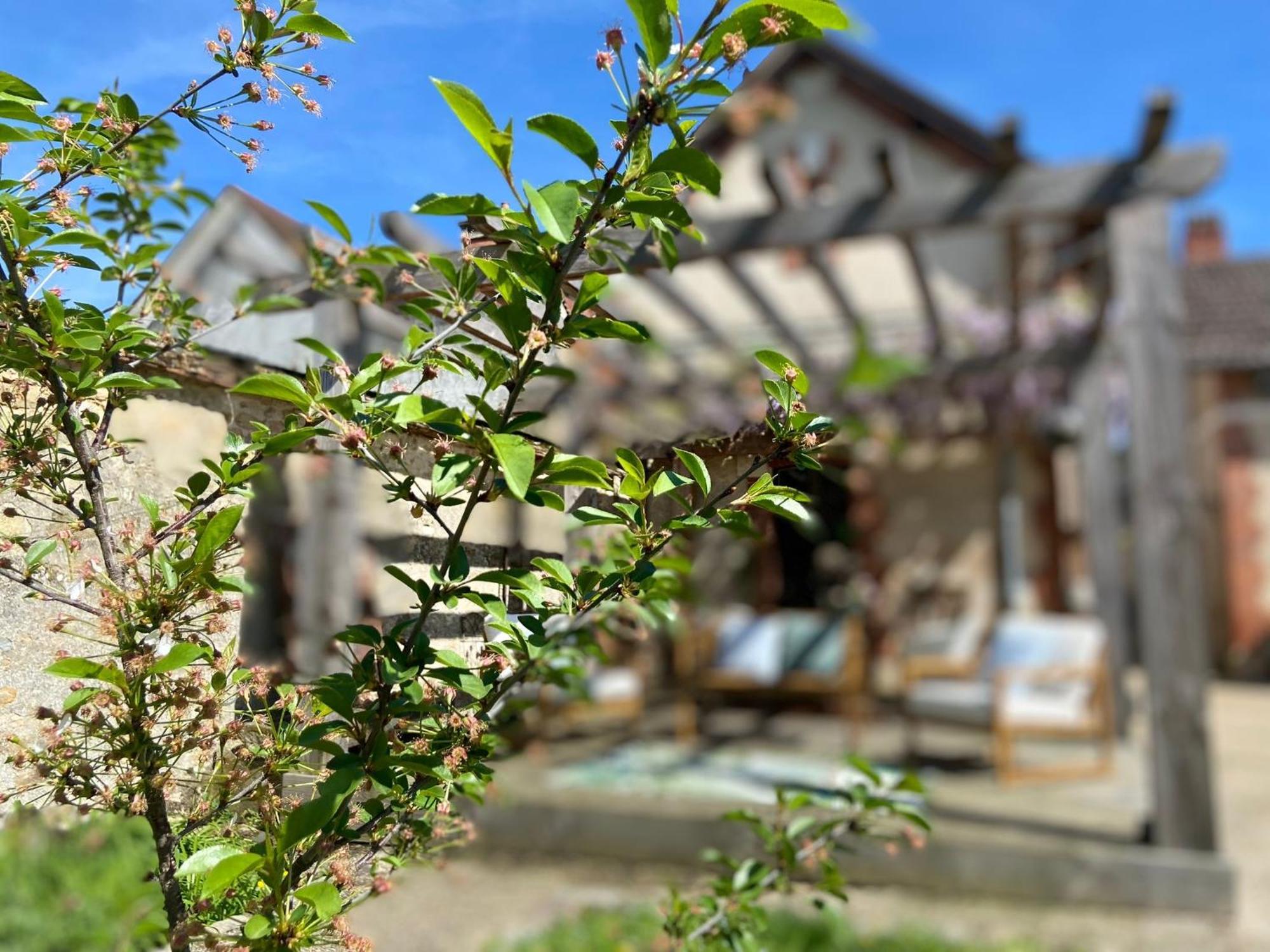 Pool House-L'Hirondelle De Sermizelles- Grand Jardin, Calme Et Nature Aux Portes Du Morvan ภายนอก รูปภาพ